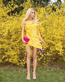 Roksana Mini Dress