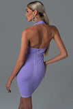 Rinaka Halter Mini Bandage Dress
