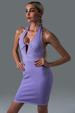 Rinaka Halter Mini Bandage Dress