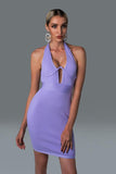 Rinaka Halter Mini Bandage Dress